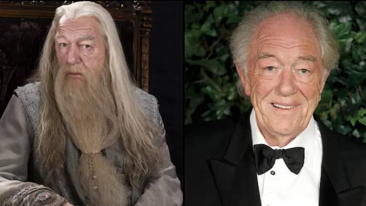 michael gambon